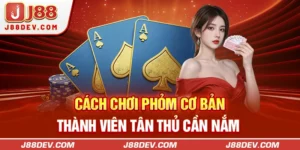 Cách Chơi Phỏm Cơ Bản Thành Viên Tân Thủ Cần Nắm